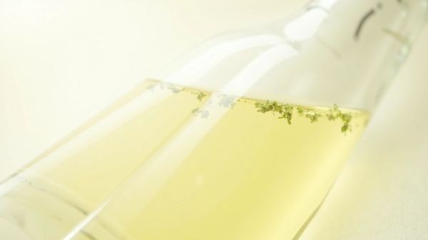 Whey native : les bienfaits d'une extraction douce et pure